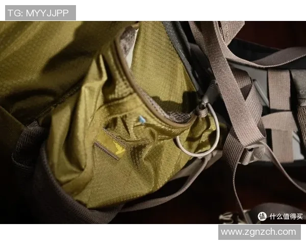 探索格里高利B75的独特魅力与应用前景解析