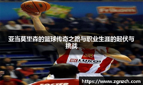 优游国际官网入口